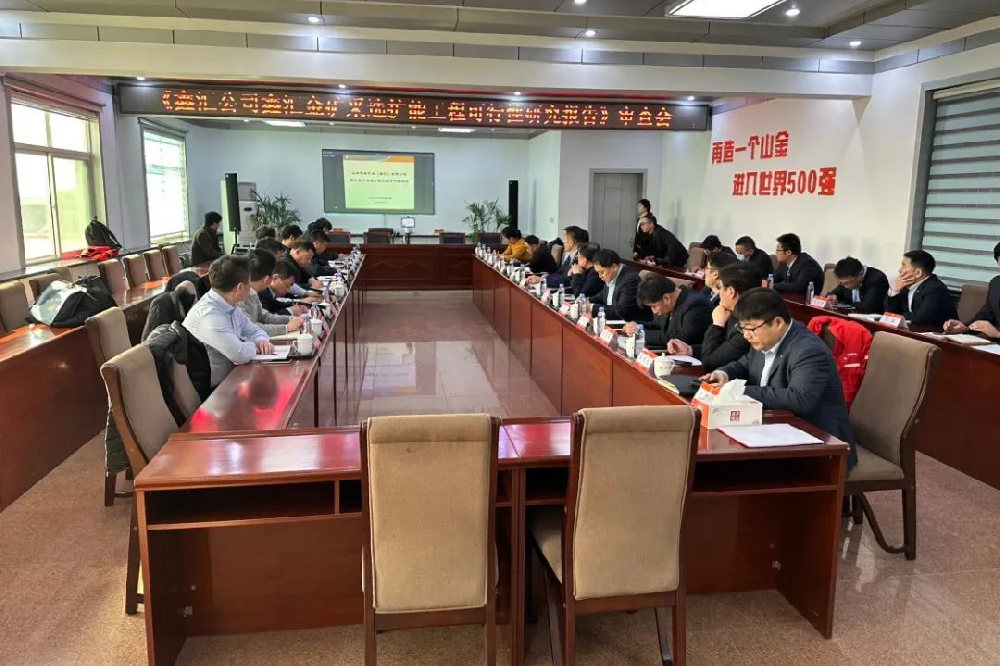 设计咨询公司《鑫汇金矿采选扩能工程可行性研究报告》通过专家审查